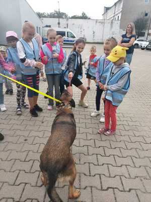 dzieci bawią się z psem policyjnym jego ulubioną zabawką.