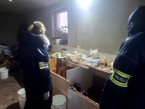 Zwierzęta znajdujące się w nielegalnej hodowli