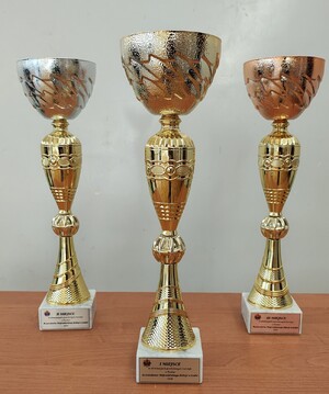 Eliminacje powiatowe Turnieju o Puchar Komendanta Wojewódzkiego w Łodzi